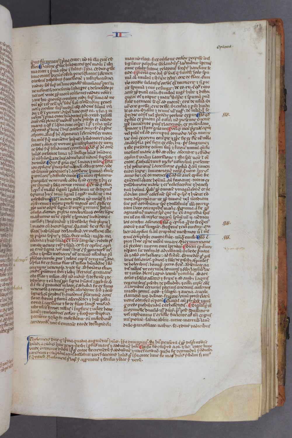 Folio 50 recto